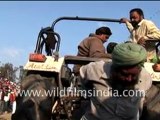 Man pulling tractor with his teeth, in the heart of Punjab!