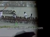 Snake boat race in Champakulam, Kerala