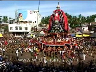 Devotees in Jagannath Rath yatra