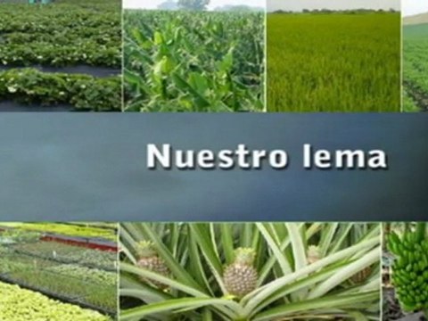 Insumos agricolas Talex SAS