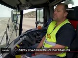 Las algas verdes invaden la costa de Bretaña, en Francia