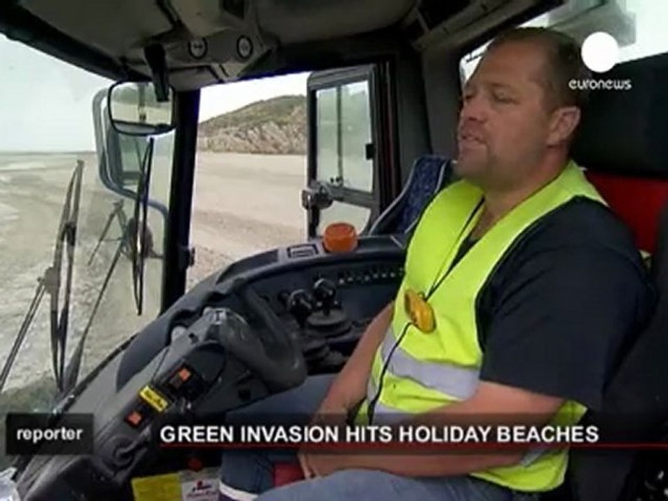 Las algas verdes invaden la costa de Bretaña, en Francia