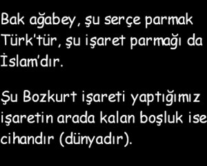 Bozkurt İşaretinin Anlamı & Alparslan Türkeş