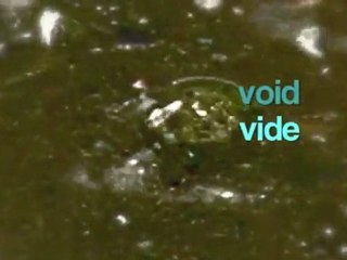 Seconds of Eternity (41/100)