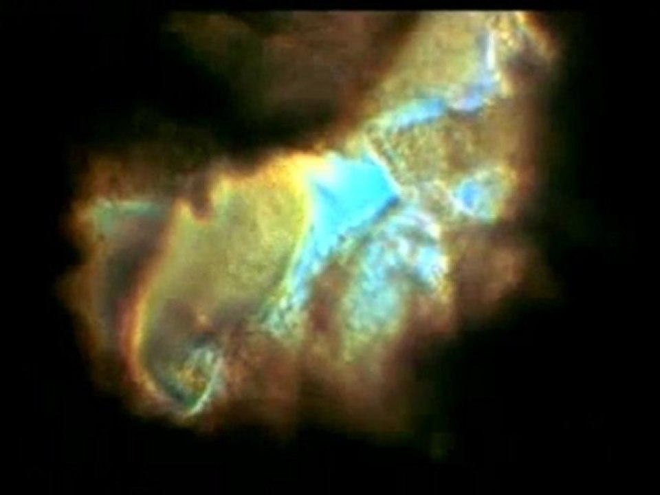 Spermin zorlu yolculuğu