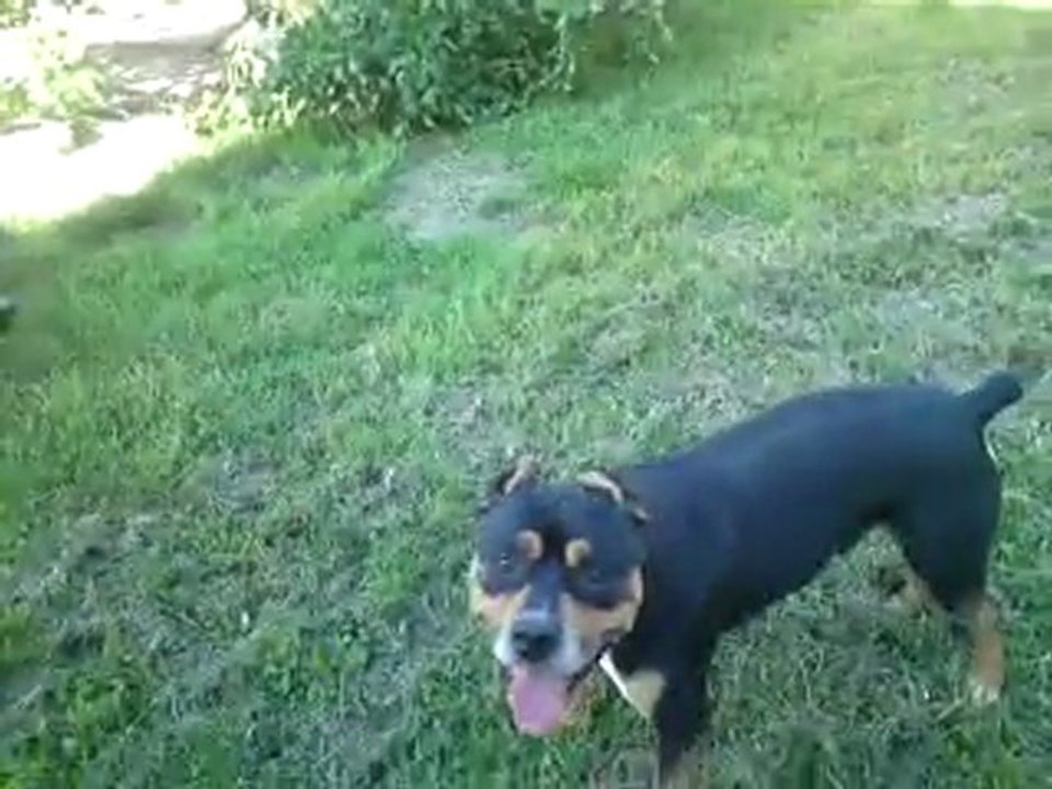 Bayron & Replay en mode jeux