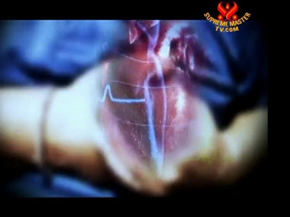 Recalled fish, meat, eggs,dairy products, etc.