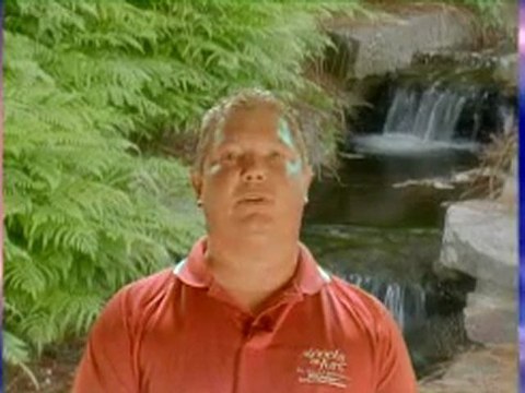 Inground pools indianapolis