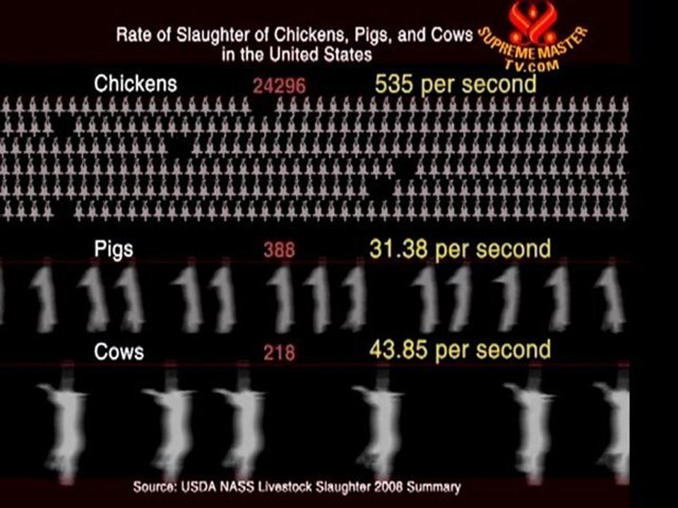 Rate of Slaughter
