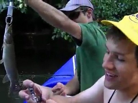 brochet et bass aux leurres