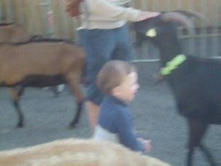 Le village des chèvres