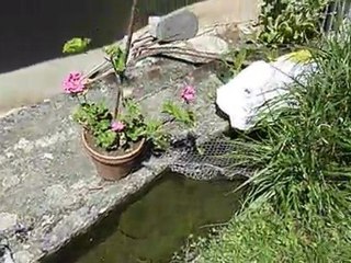 v08- On redescend du jardin