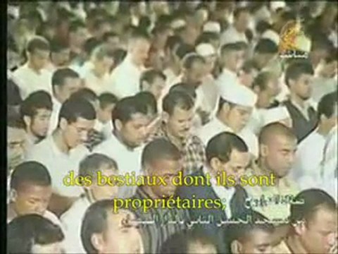 Sourate Ya-Sin verset 55 / fin sourate - Cheikh Al Qazabri