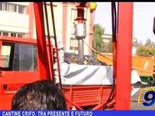 Ruvo | Cantine Crifo, tra presente e futuro