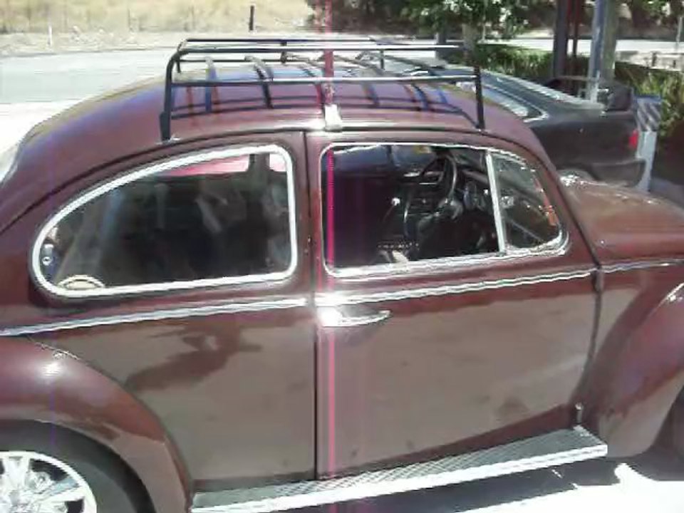 41 second bug tour