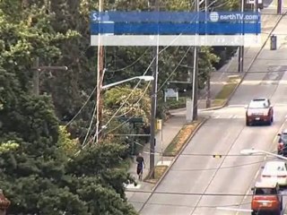 Cannes - France, Avignon - France, Washington - USA, Berlin - Germany, Muscat - Oman, Seattle - USA, Udaipur - India