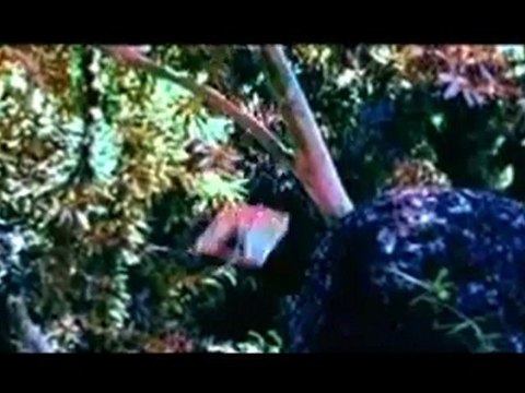 DJ QASIM ALI PASHTO NEW SONG 2011 - KHALID MALAK 2011 NEW TAPEY REMIX