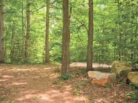 Springwoods at Lake Ridge Apartments in Woodbridge, VA ...