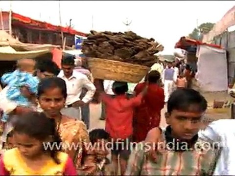 Sonepur Fair happenings