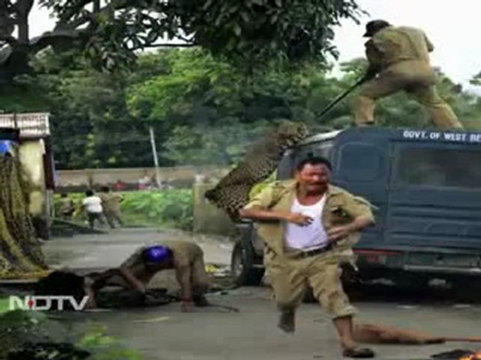 Leopard attacks forest guard (Caught on camera)