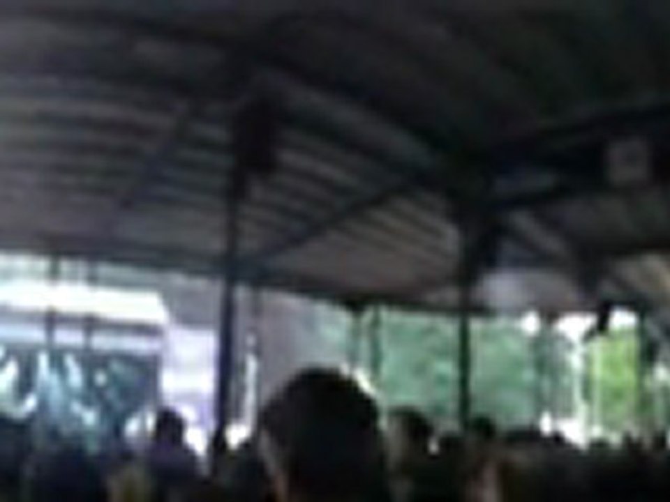 Groupe d'amis aux Francofolies (360°)