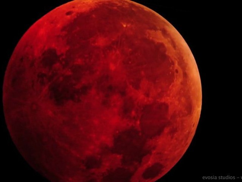 A Timelapse Journey with Nature: 2009-2011