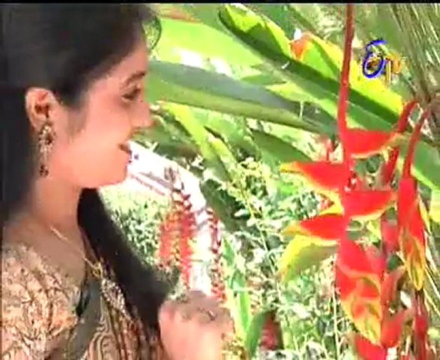 Abhiruchi - Recipes - Vankaya Chinta Chiguru, Palakura Masala Vadalu & Anapakaya Vadiyalu Kura - 03