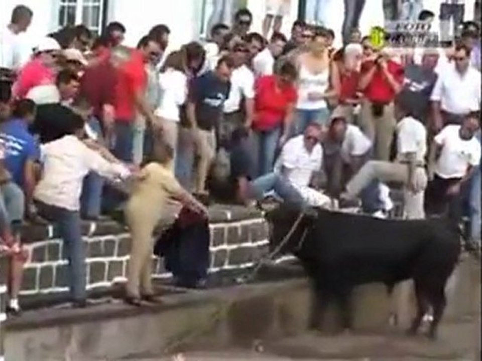 Feelgood vid des Tages