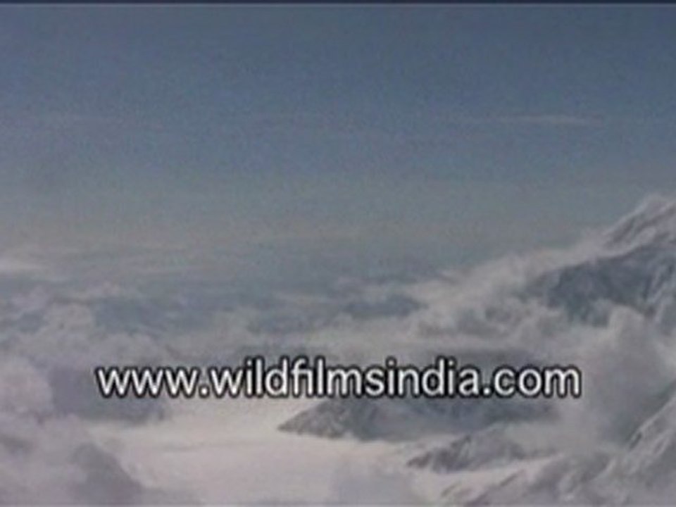 Mt. McKinley is the highest mountain in the USA