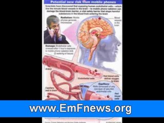 Cell Phones and Cancer: A Study's Muddled Findings