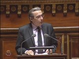 Roland Ries au Sénat - Tenue des sessions plénières du Parlement européen à Strasbourg