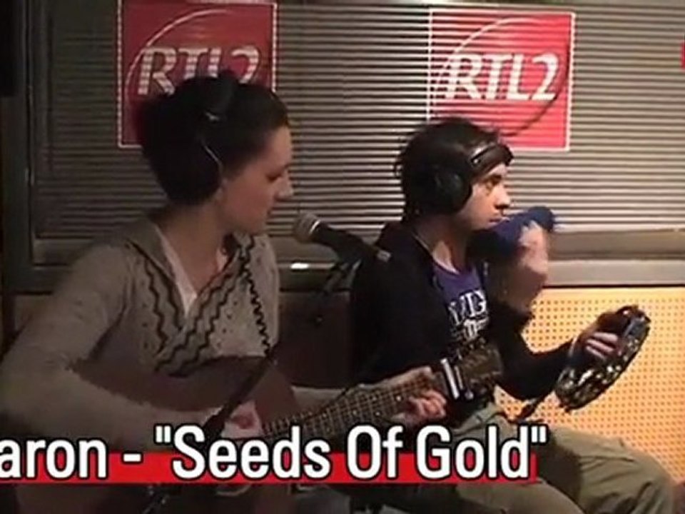 AaRON - (www.rtl2.frvideos) - Birds In Storm