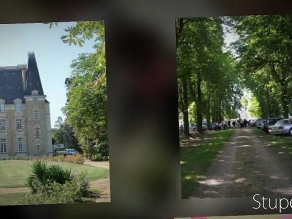 My Stupeflix Video
