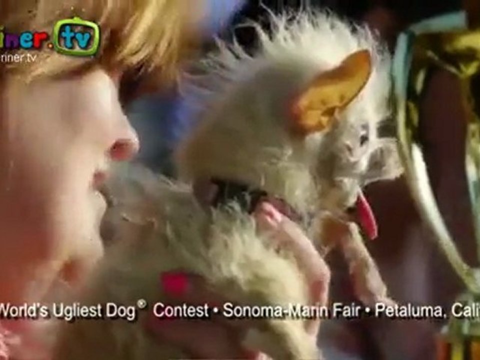 Çirkin Köpek Yarışması 2011