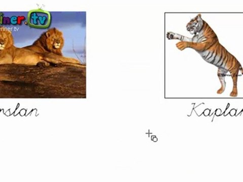 Çocuklar İçin Evcil ve Yabani Hayvanları Tanıyalım