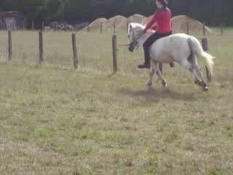 Vas-y casse-toi la gueule!!