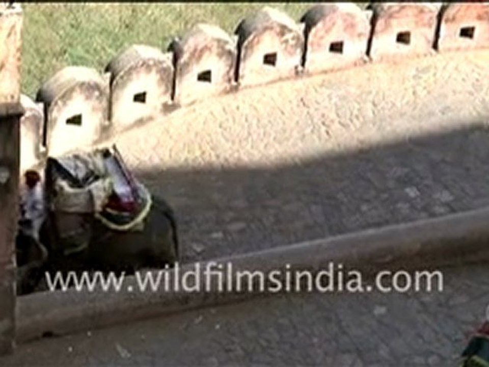 Fort in Jaipur