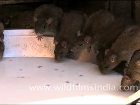 This is the kitchen of the hotel in which I stayed!