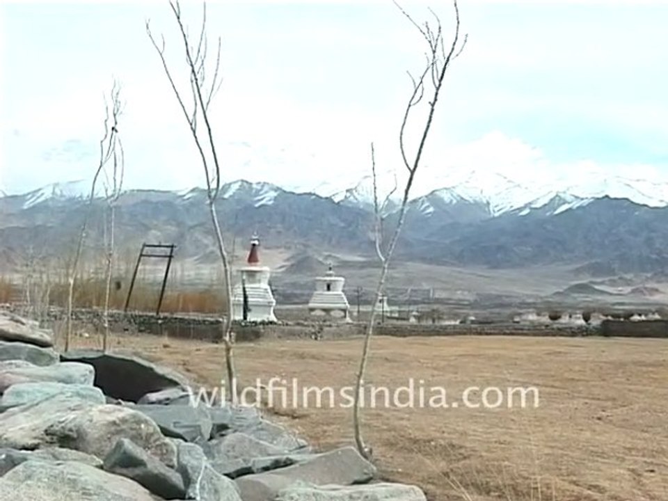 Snowy Peaks of Ladakh