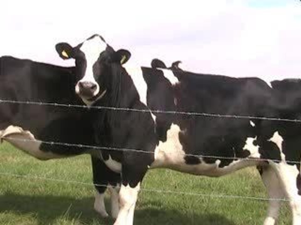 Wo gehts zum Fußball??