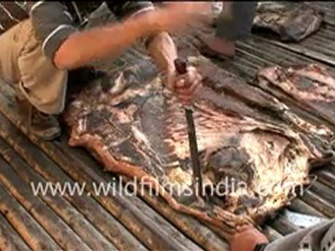 Apatanis of Arunachal Pradesh