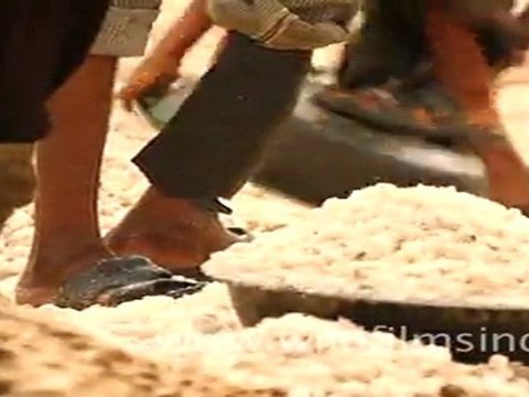 workers loading salt into truck in Gujarat