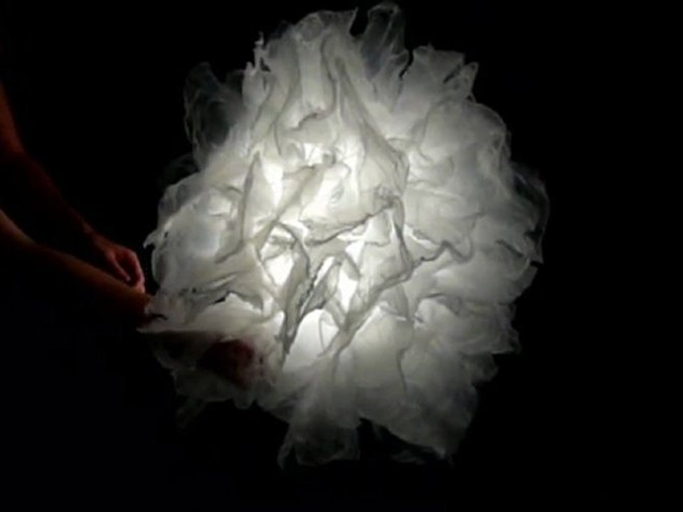 Fourmis Bleues - Montage Mo - Moo'v Deco System