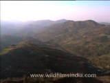 Aerial view of lush green mountains