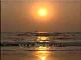 Sunset over the Arabian sea