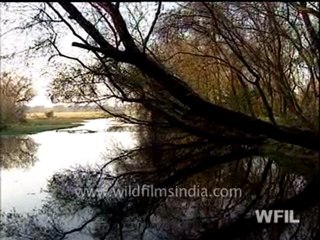 Wild India 24 hours Part - 2