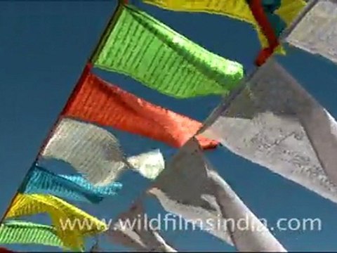 Prayer Flags in Ladakh