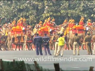 March of Camels, Republic Day Rehearsal 2011