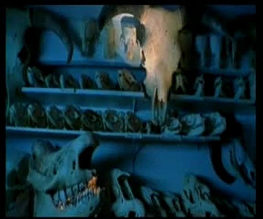 Fosil nedir, nasıl oluşur ?