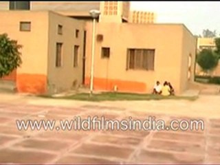 Tihar_4-MPEG-4 800Kbps